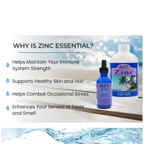 Ionic Zinc Supplement Drops - Image 4