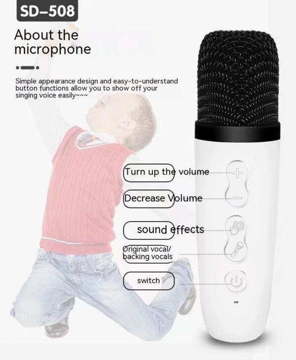 Wireless Karaoke Machine Bluetooth Speaker - Image 2